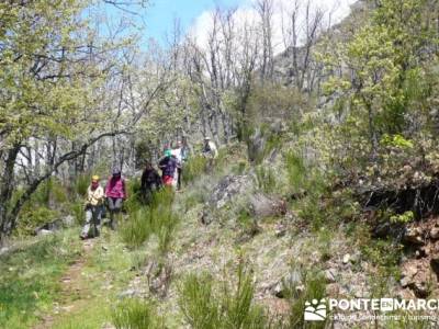 Ruta de Senderismo - Altos del Hontanar; actividades culturales en madrid